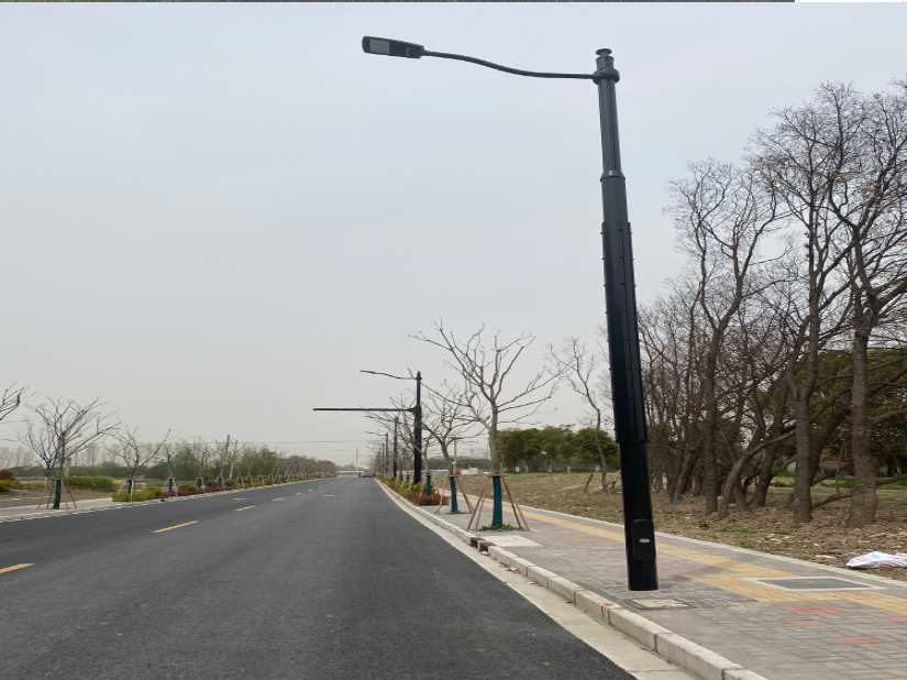 会同县上海综合杆 太阳能路灯工程